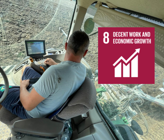 SDG 8 